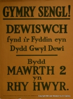 Single Men - Welsh