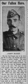 Andrew Bradley