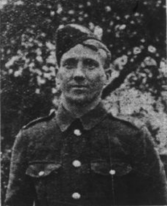 David Findlay