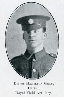 Hamilton Gray
